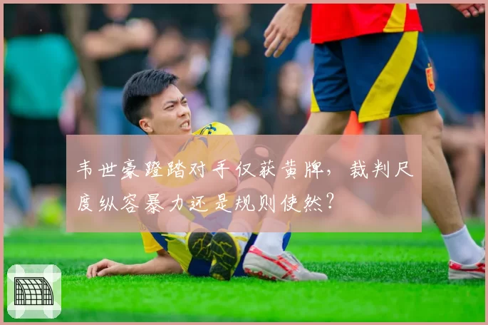 韦世豪蹬踏对手仅获黄牌，裁判尺度纵容暴力还是规则使然？