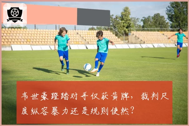 韦世豪蹬踏对手仅获黄牌,裁判尺度纵容暴力还是规则使然?