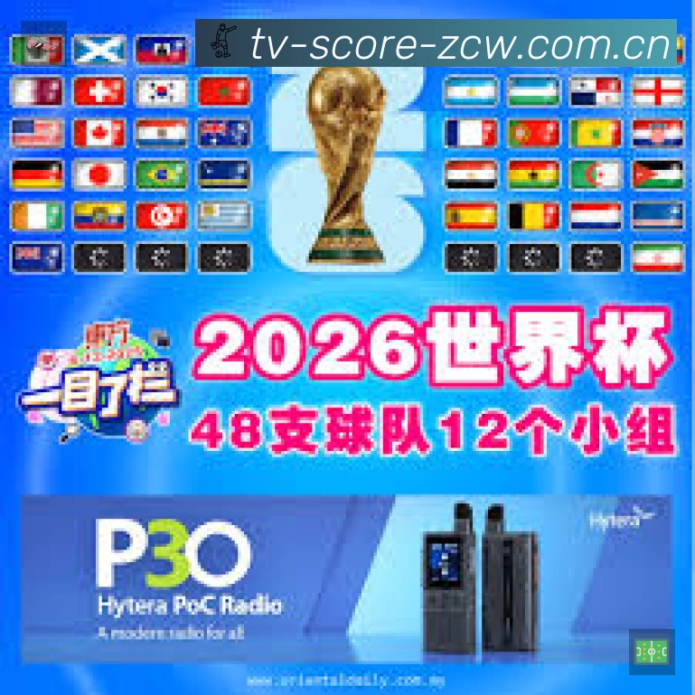 企业概况